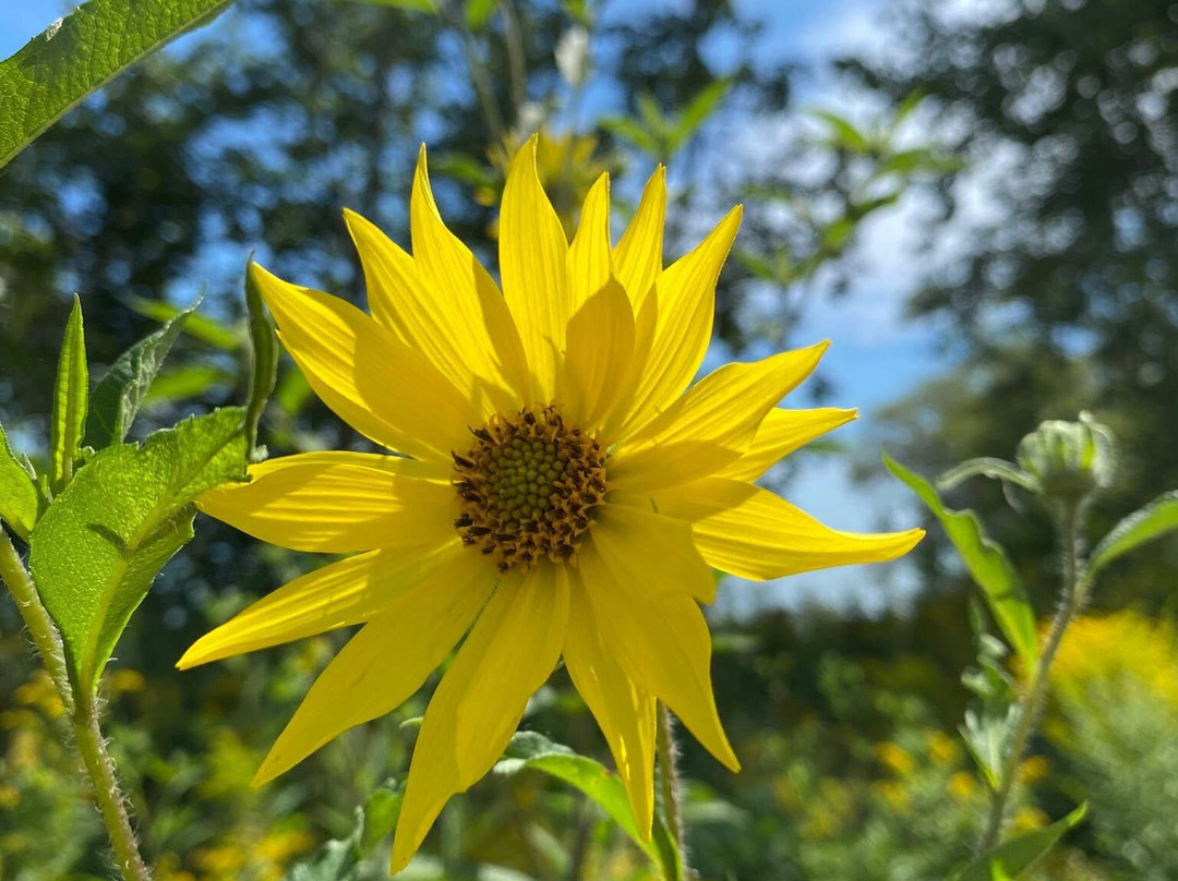 Fischer Creek State Recreation Area-Cleveland必去景点