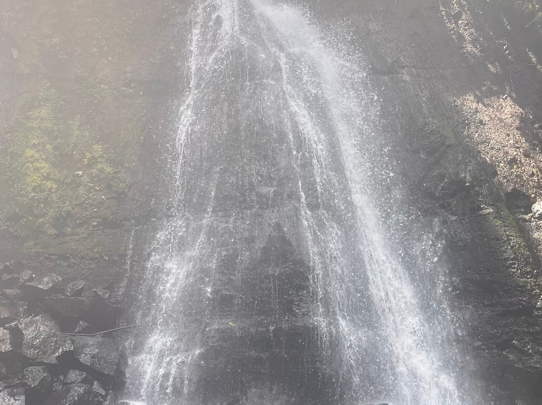 Mangalia Waterfalls-阿鲁沙必去景点