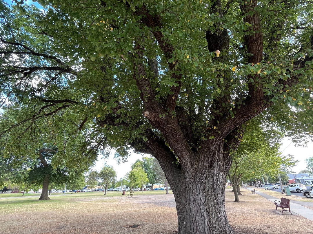 Memorial Square-科拉克必去景点