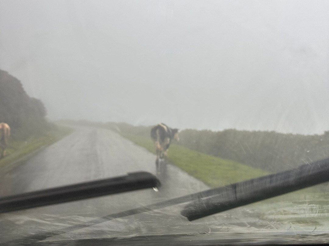 Paralelo 39 Actividades Turísticas-Corvo必去景点