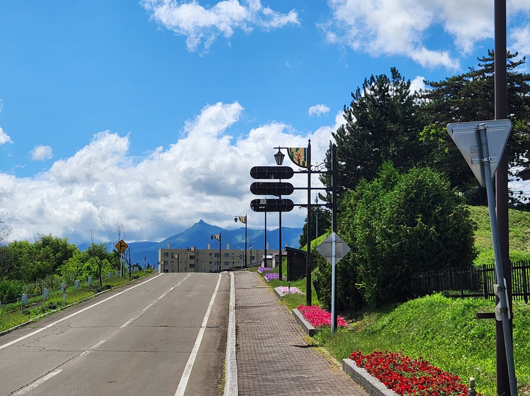 富田农场-中富良野町必去景点