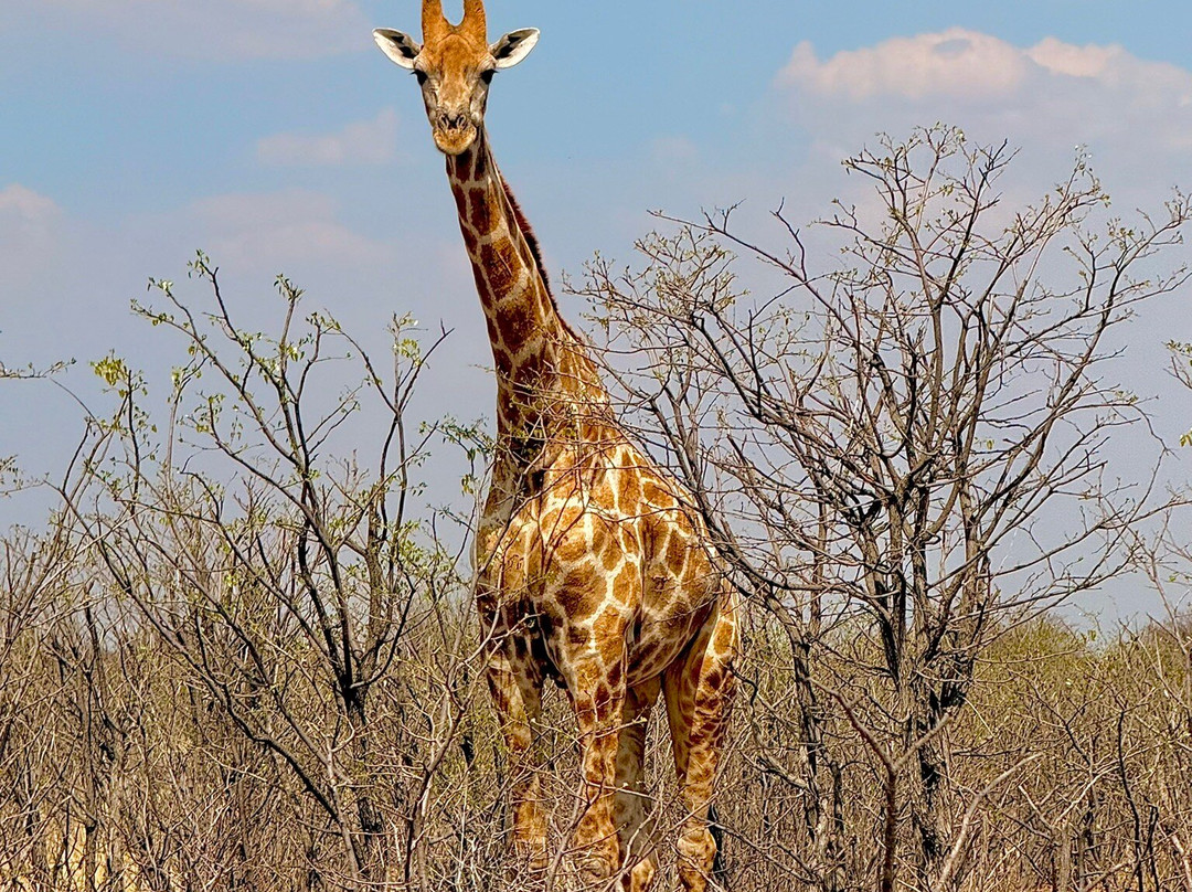 Epacha Game Lodge & Spa主图