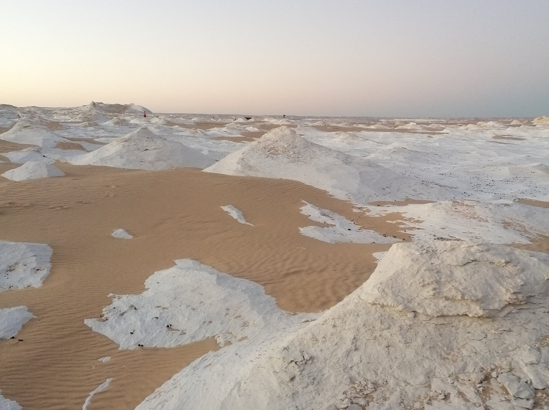 Egypt Camp White Desert-Bawiti必去景点