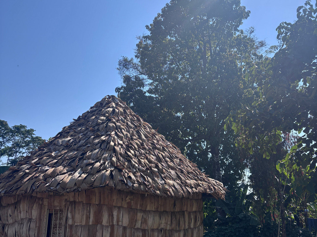 Machame Nkweshoo Cultural Tourism-莫西必去景点