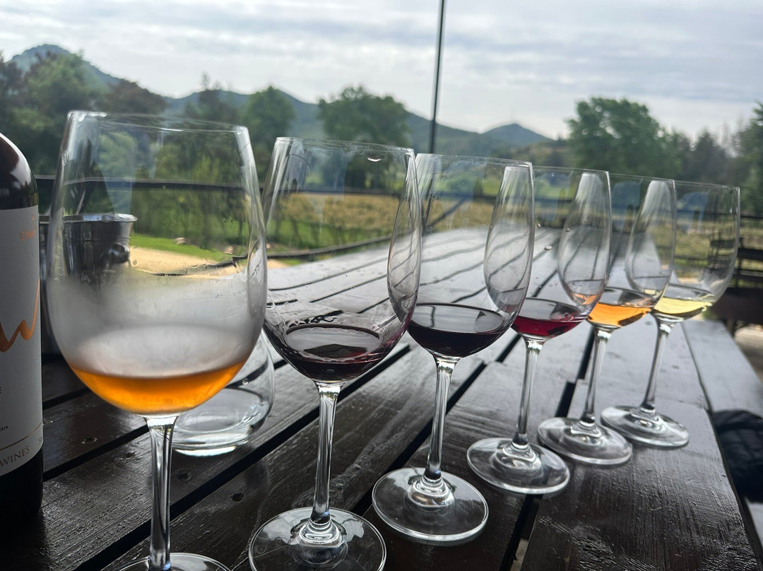 Maturana Wines-San Fernando必去景点