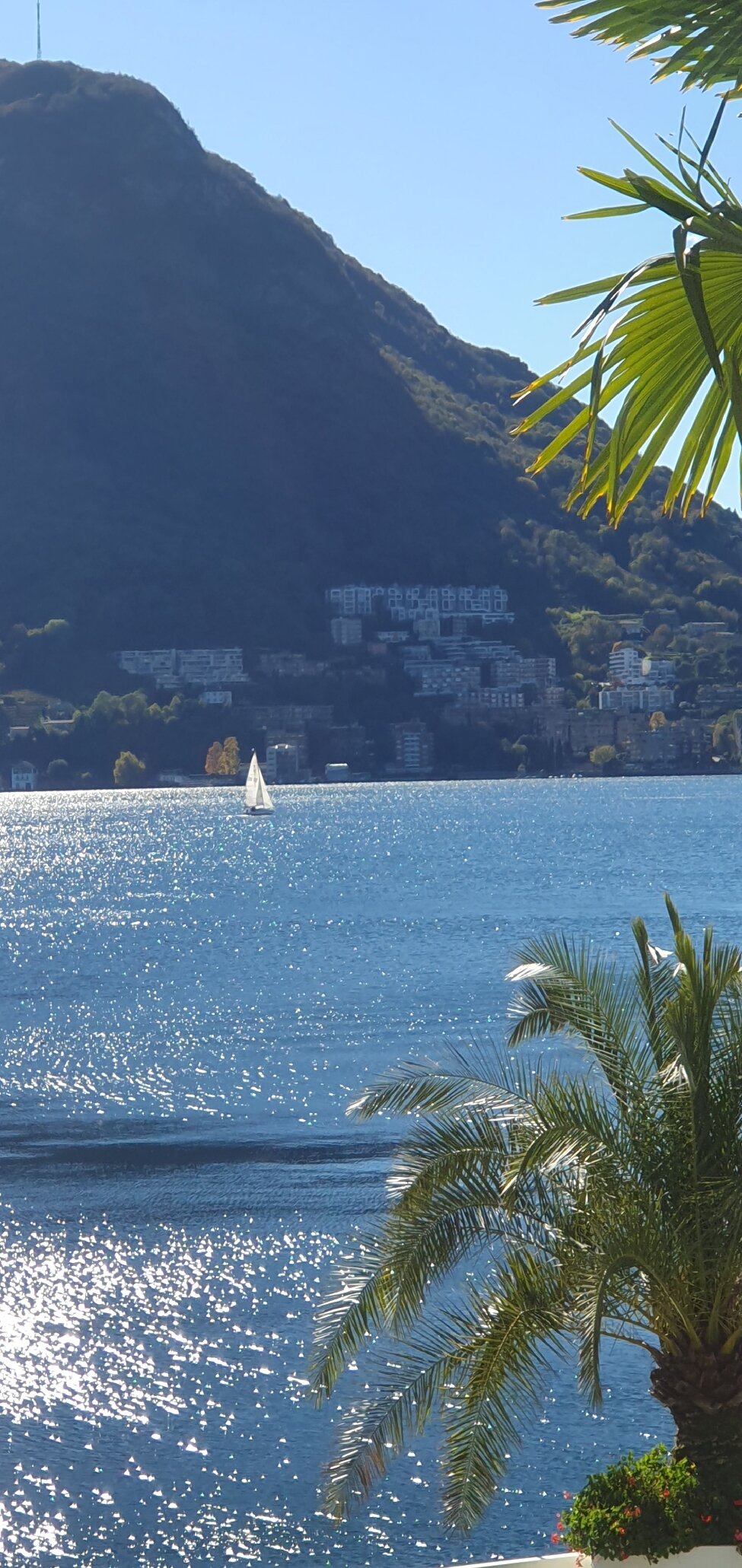 Hotel Lido Seegarten-官方