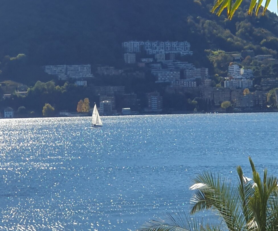 Hotel Lido Seegarten主图