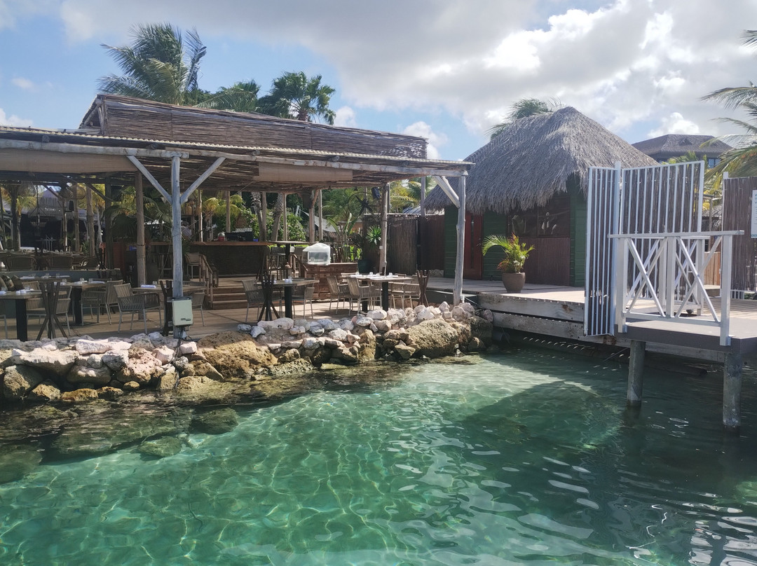 Mambo Beach-库拉索必去景点