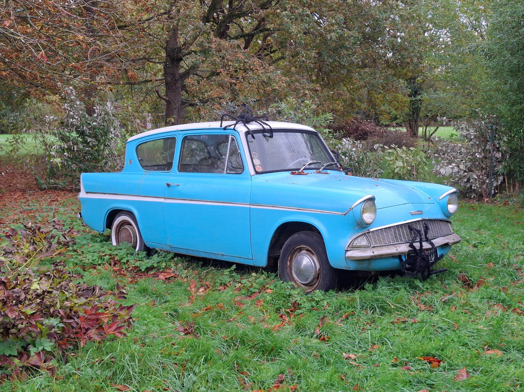 Le Manoir de Bois-en-Ardres主图