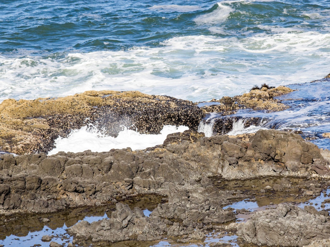 Thor's Well-亚查茨必去景点