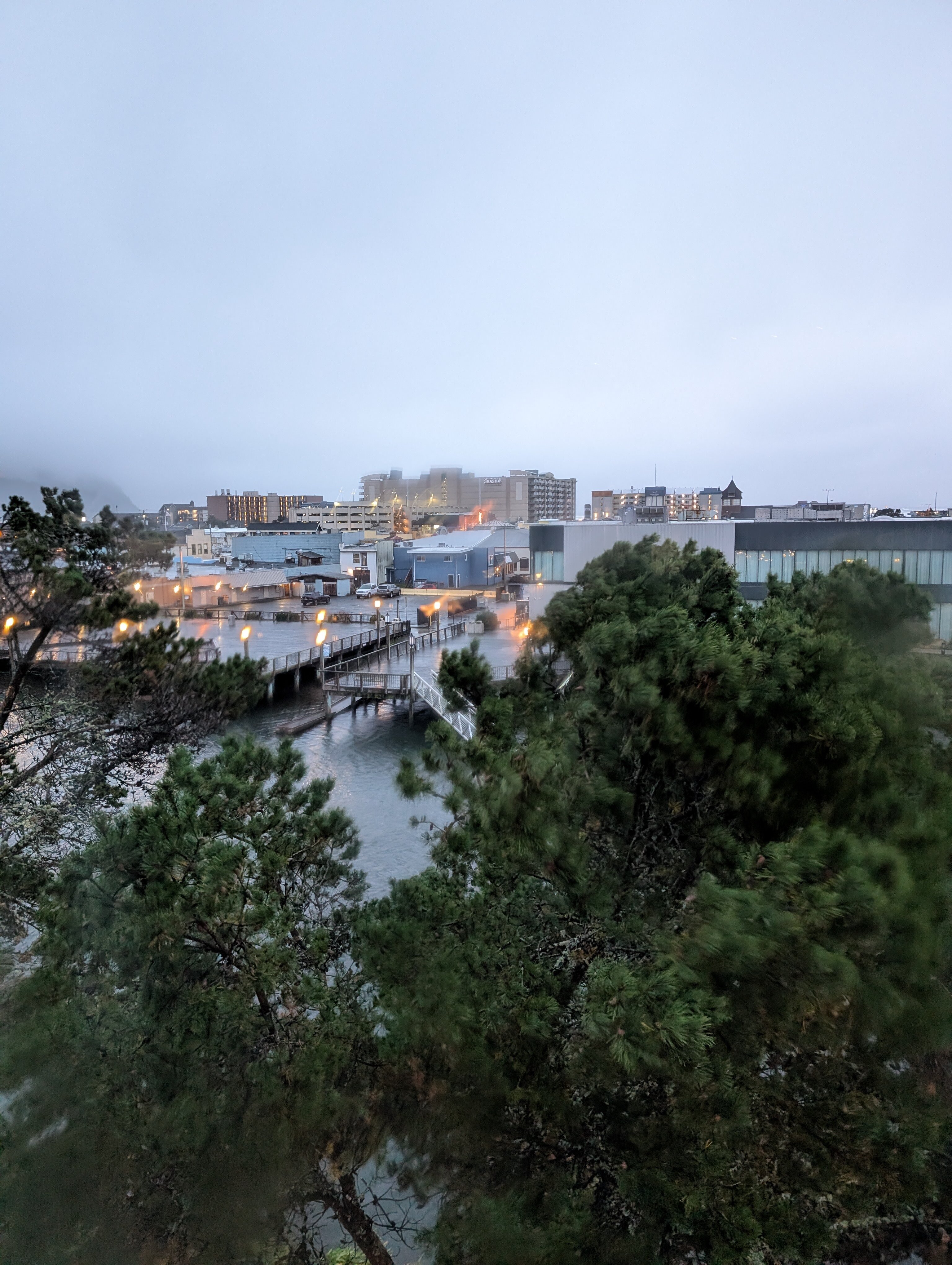 海滨会展中心快捷假日&套房酒店-酒店景观