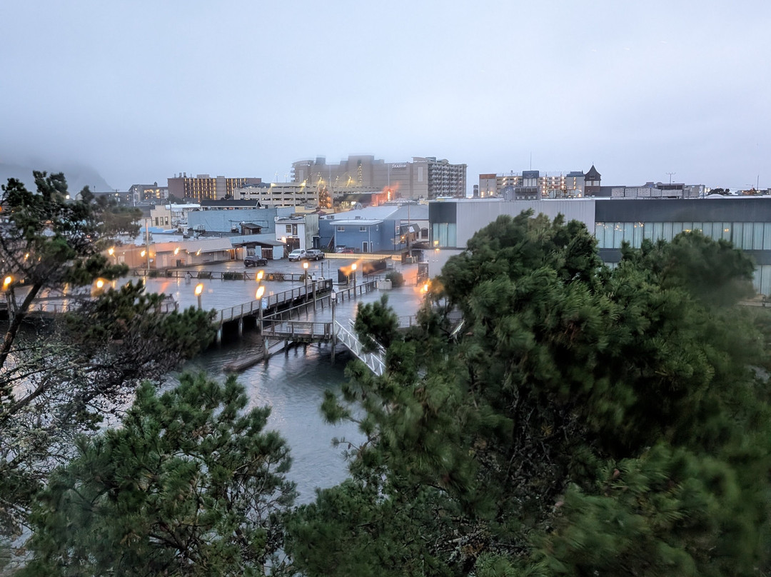 海滨会展中心快捷假日&套房酒店主图