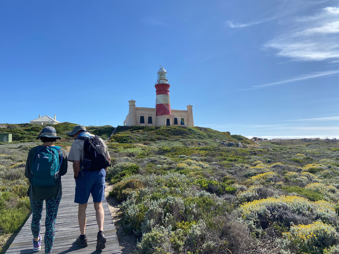 Wild Wellness-赫曼努斯必去景点