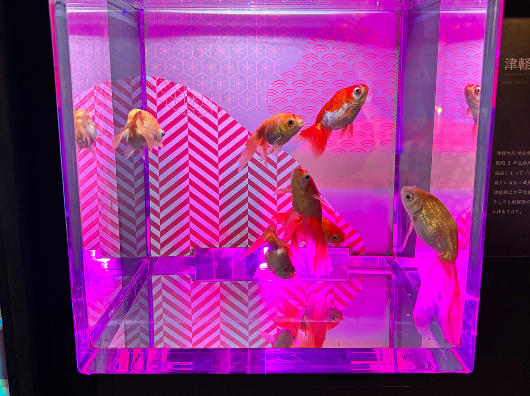 Uws Aquarium Ga Kyo-Daiba必去景点