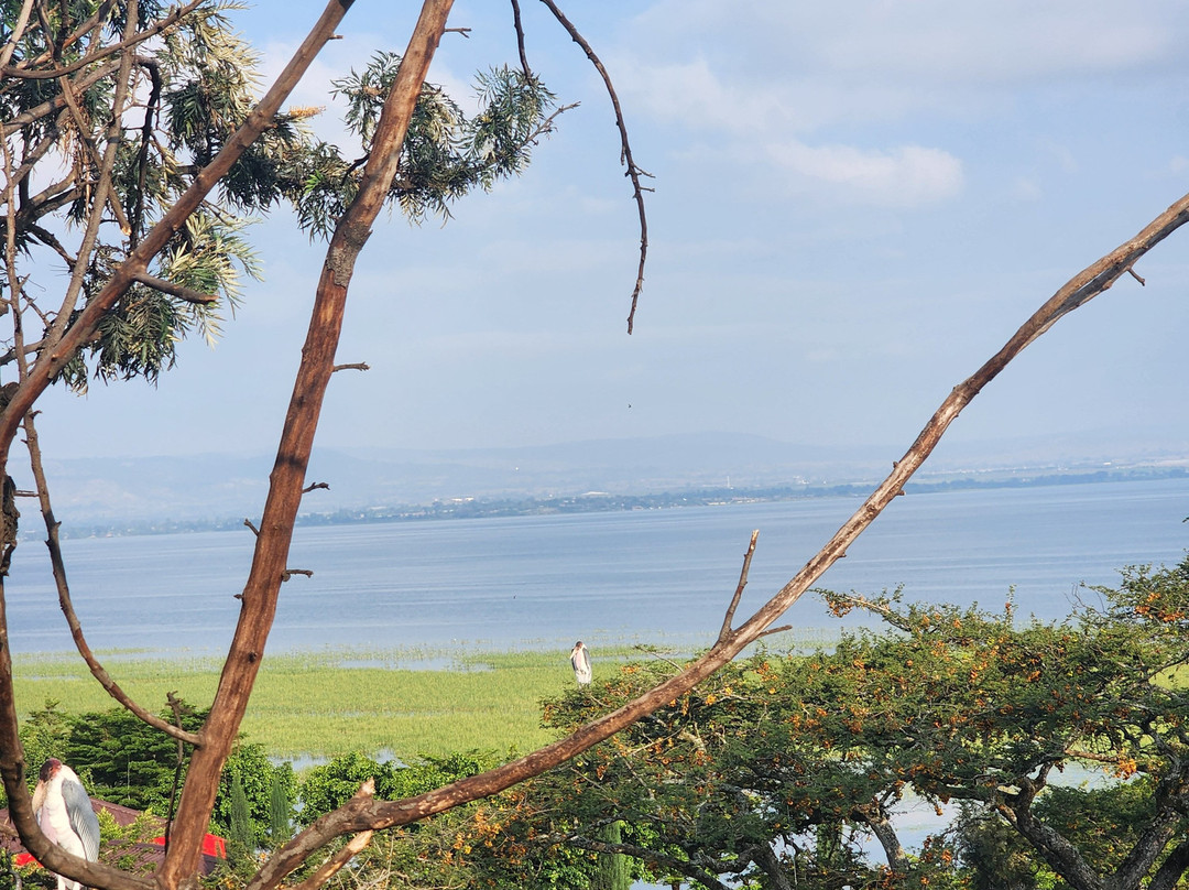 Hawassa Lake View Hotel主图