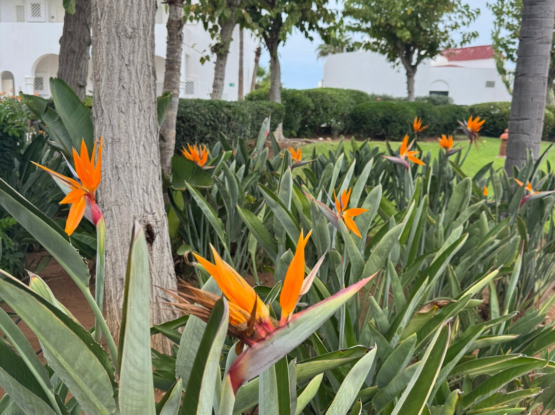 L'Amphitrite Palace Beach Hotel主图