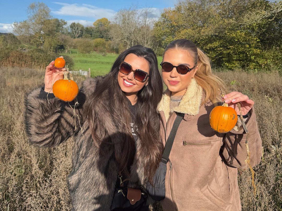 Ty Poeth Farm & Shop-Pontypool必去景点