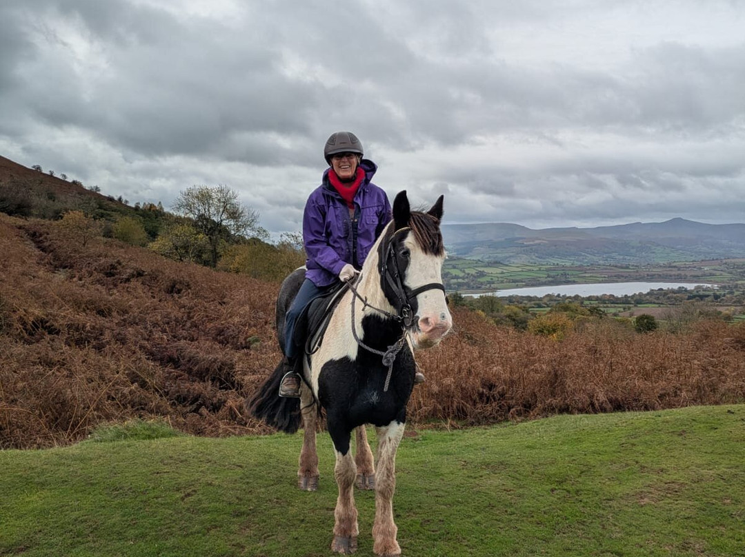 Ellesmere Riding Centre-布雷肯必去景点