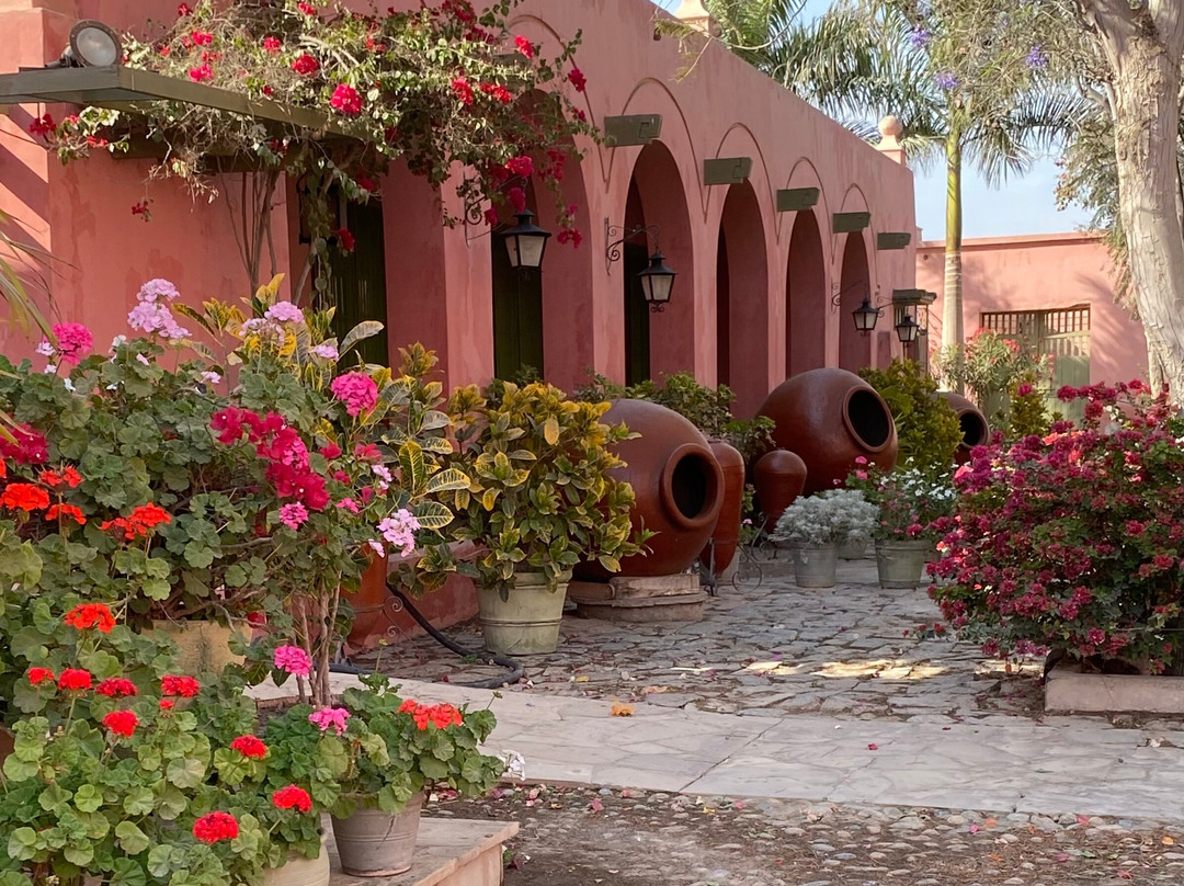 Tacama-伊卡必去景点