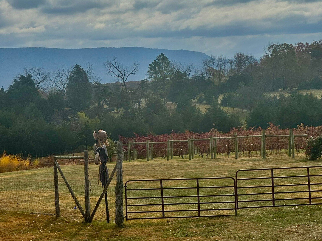 Wolf Gap Vineyard &  Winery-Edinburg必去景点
