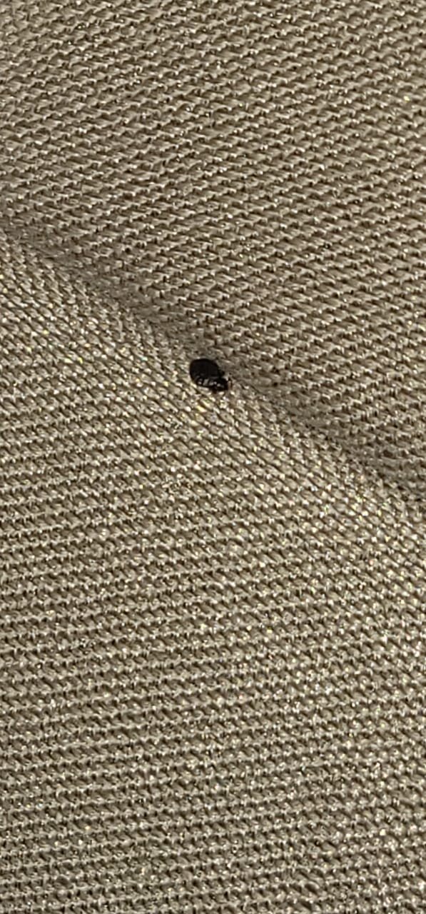 Joudyan Hotel Olaya-客卧