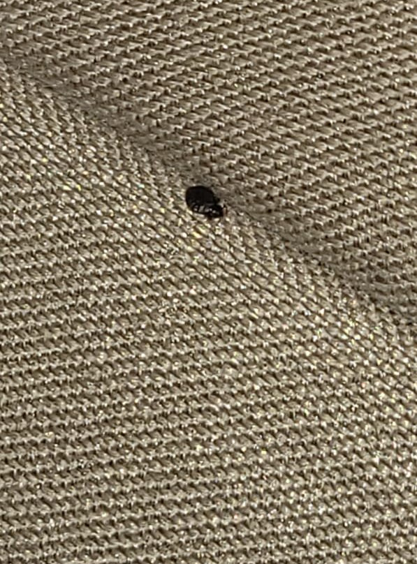 Joudyan Hotel Olaya主图