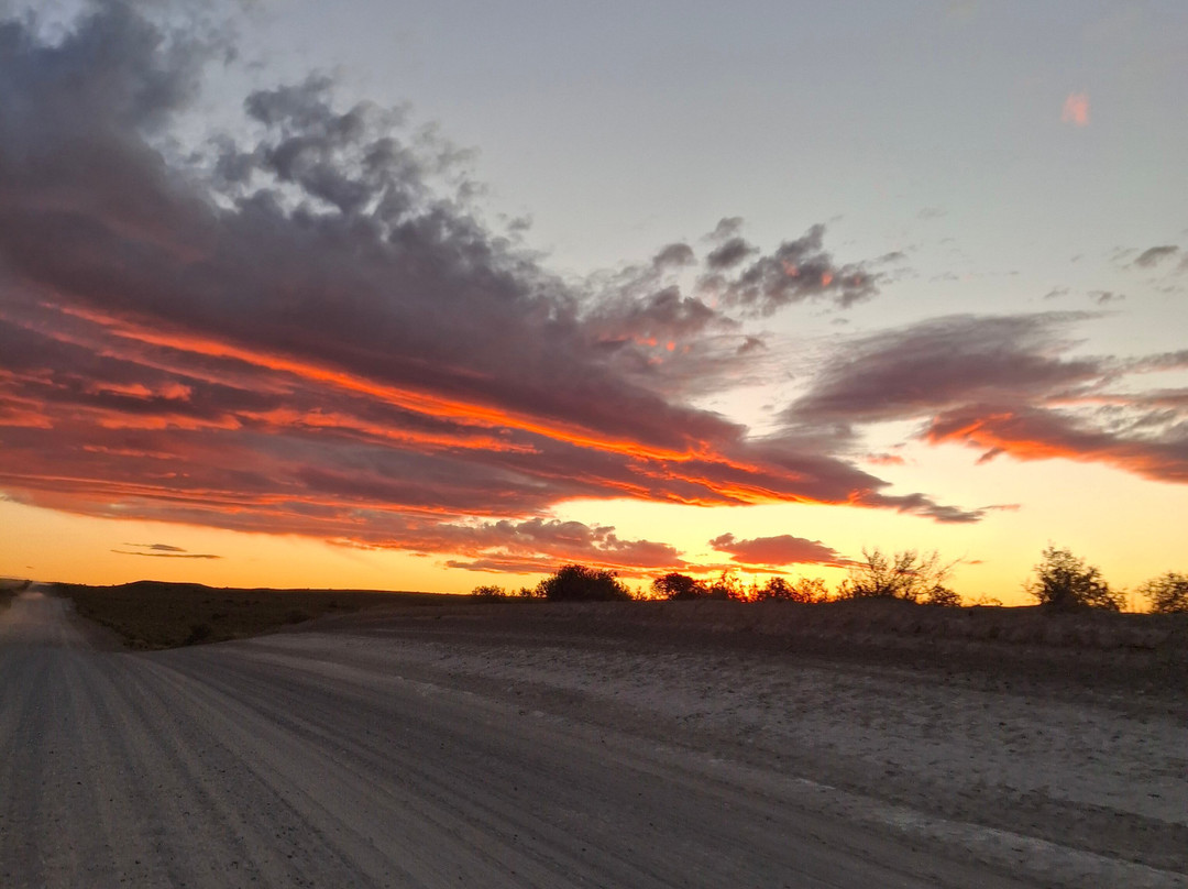 Caleta Valdes-Puerto Piramides必去景点