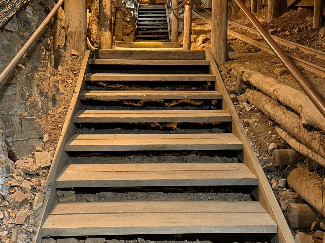 Mount Misery Gold Mine Museum-Nundle必去景点