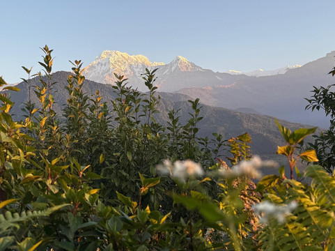 Brothers Team- Nepal & Bhutan Travel Specialist-新加坡必去景点