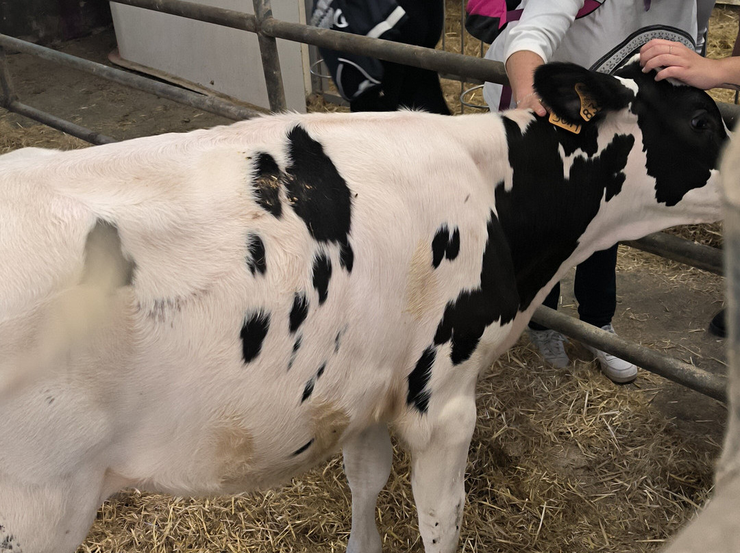 La Fageda Fundació-Santa Pau必去景点