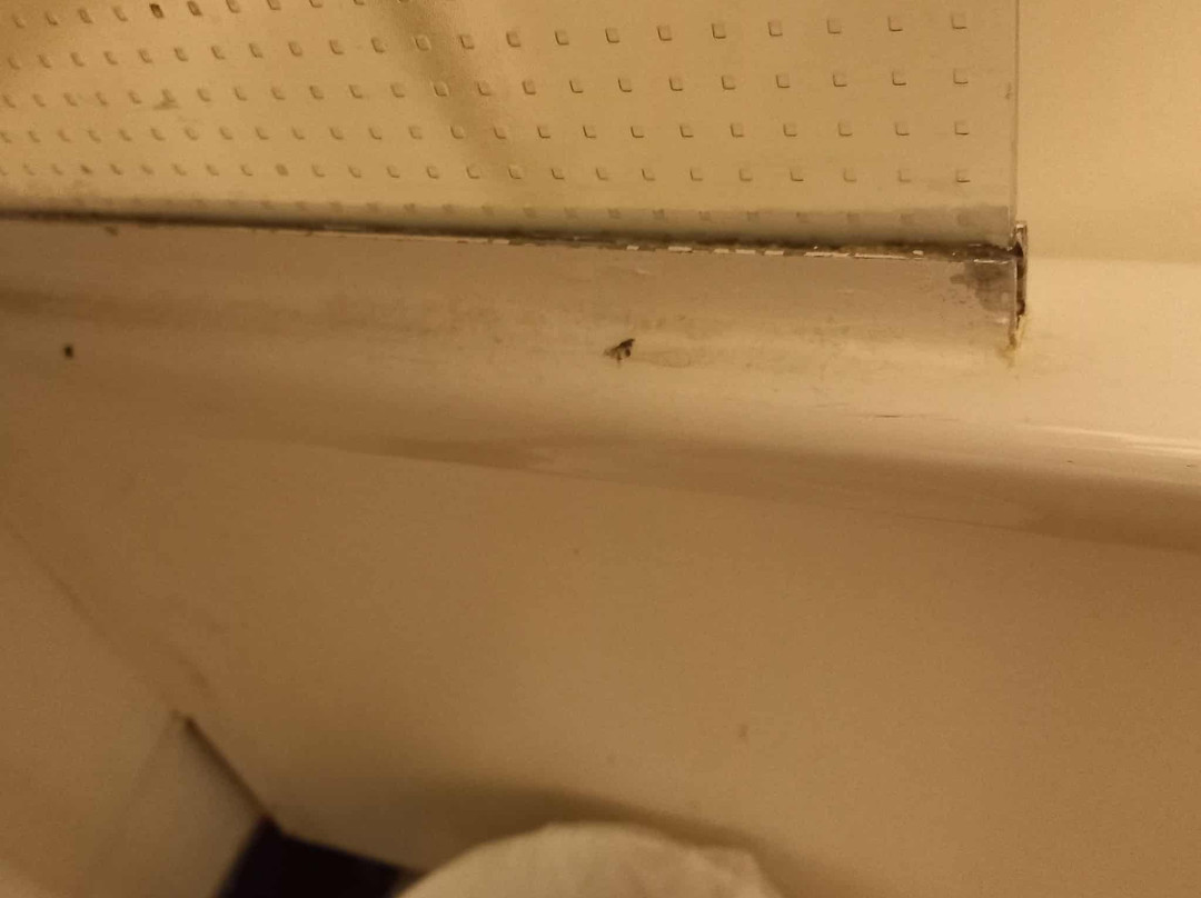 B&B HOTEL Saint-Étienne La Terrasse主图