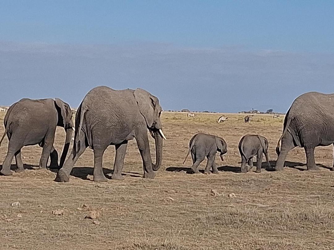 Lorna Safaris-内罗毕必去景点