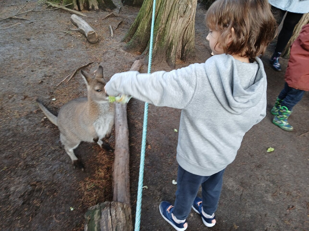 Le Parc Myocastors-Dolus-d'Oleron必去景点