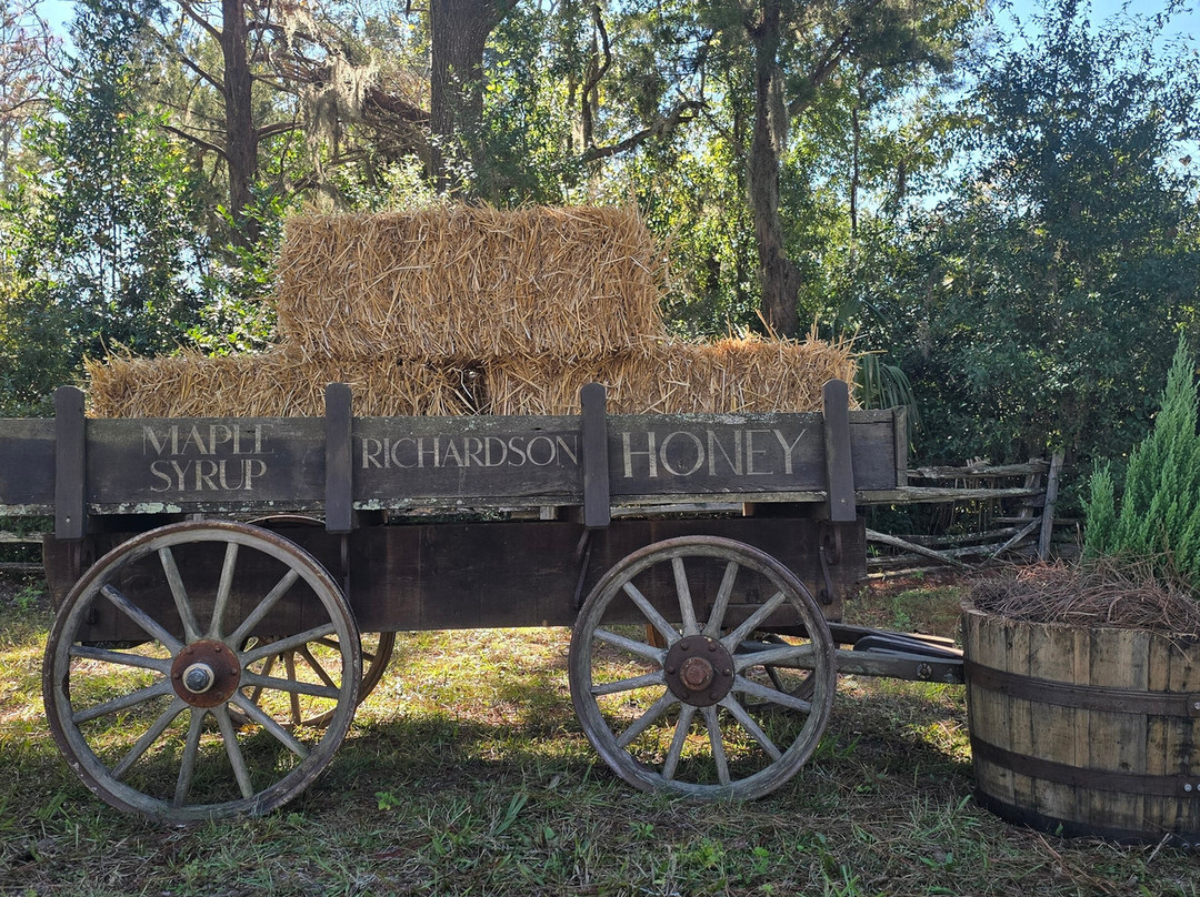 Lilsa Lodge Hunts-Chiefland必去景点