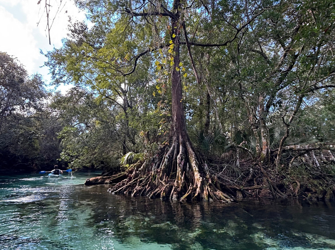 Weeki Wachee Springs-Weeki Wachee必去景点