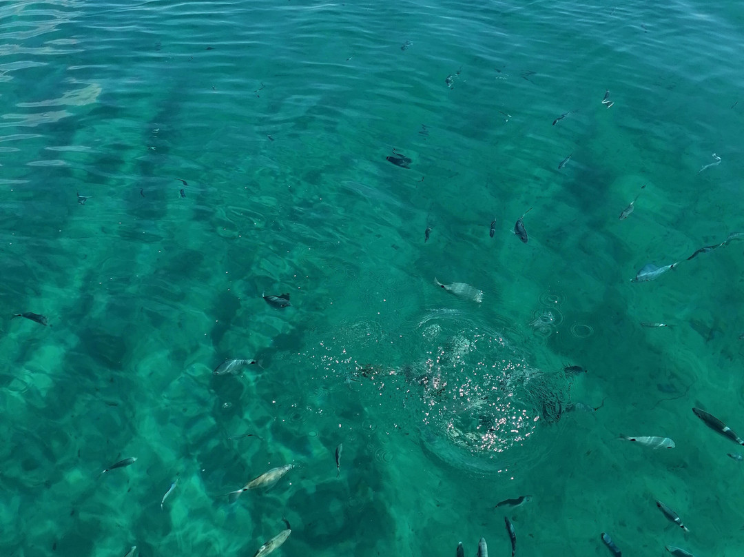 Pescaturismo Jessica E-Porto Pino必去景点