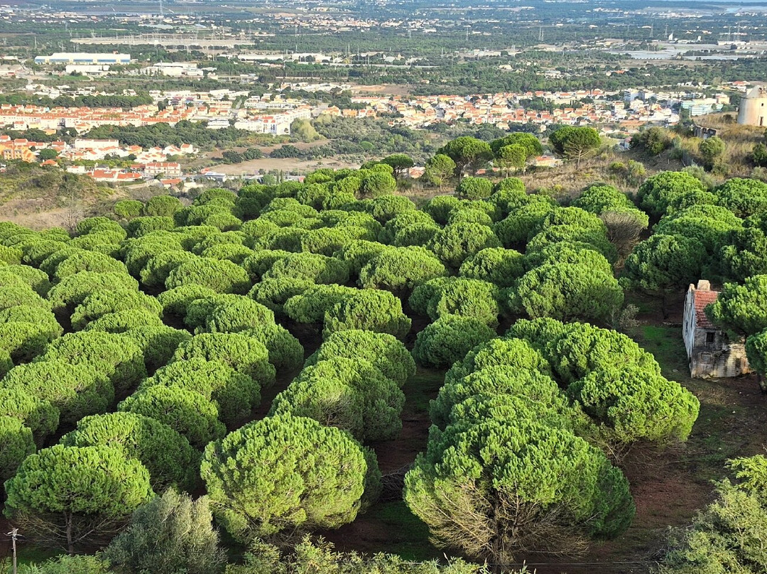 Castelo de Palmela-Palmela必去景点