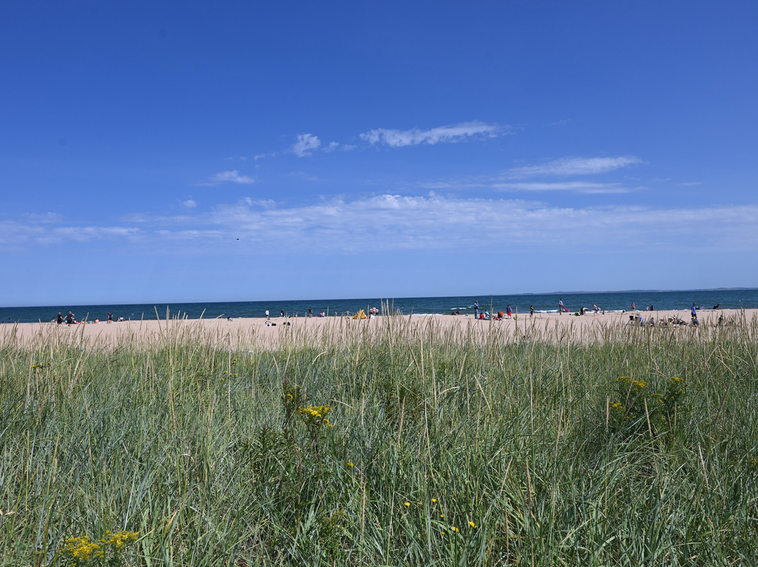 Dornoch Beach-Dornoch必去景点