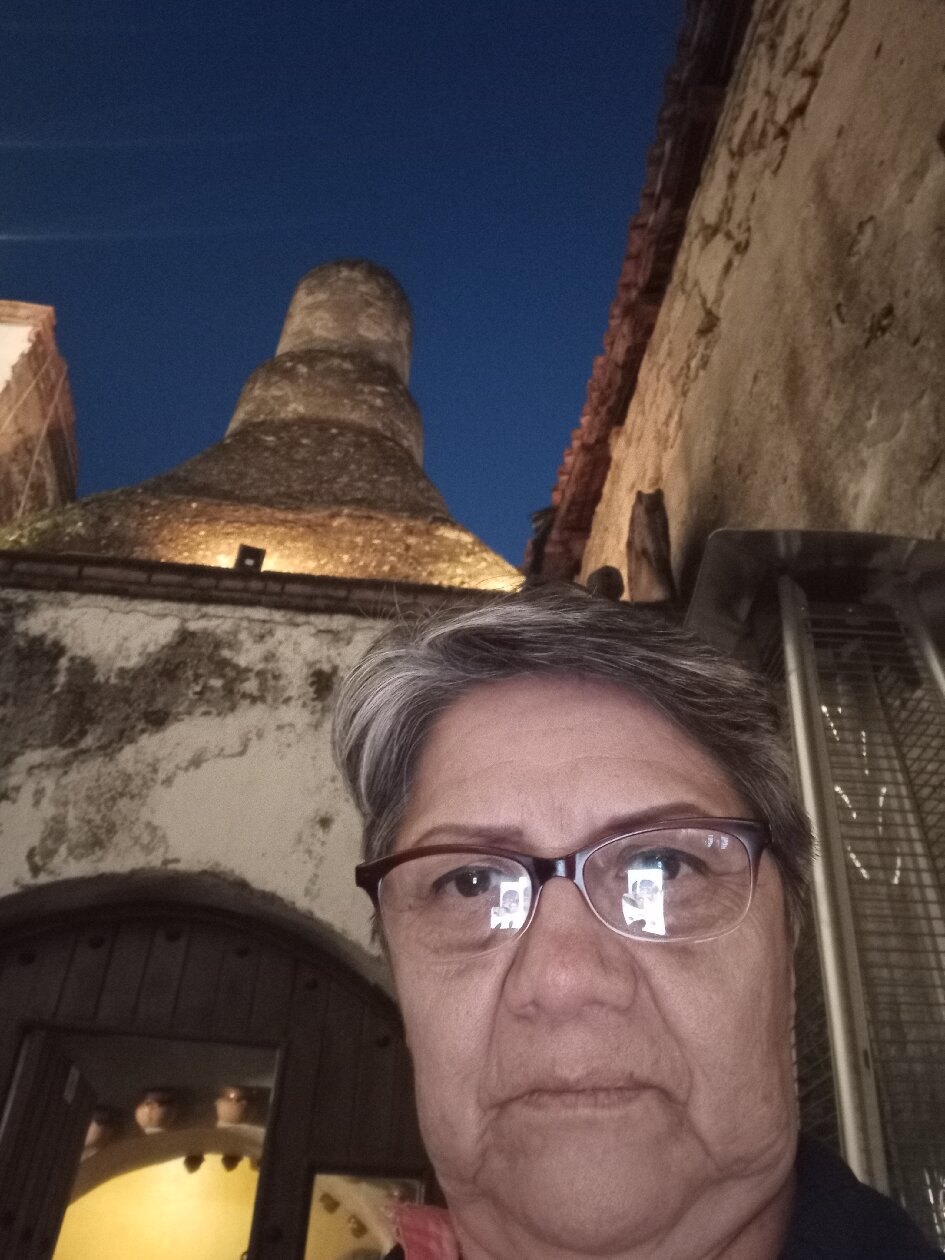 Hotel Hidalgo-官方