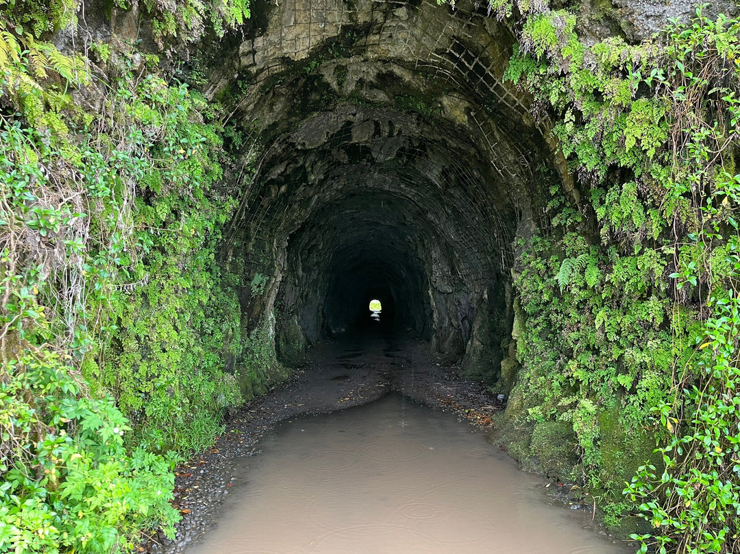 Tahiti Safari Expedition-阿鲁埃必去景点