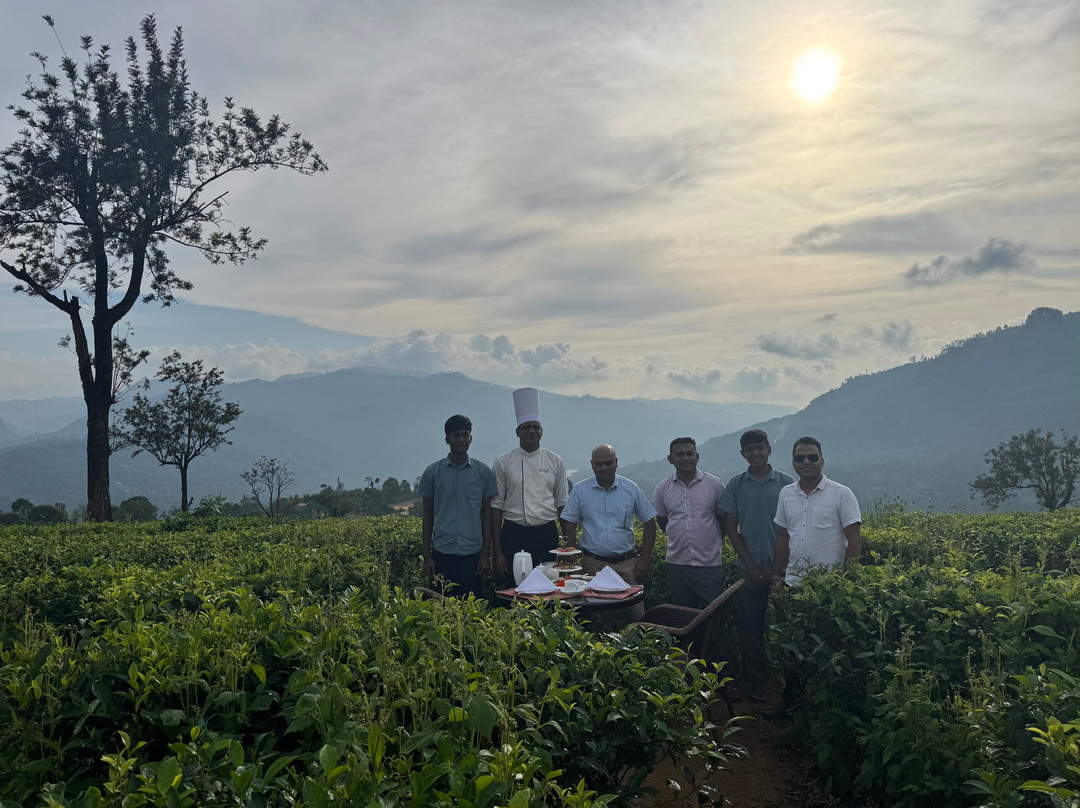 The Lavender House By Reveal主图