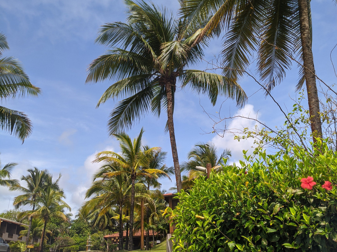 Pousada Do Mar主图