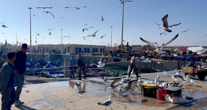 CamelTours-梅如卡必去景点