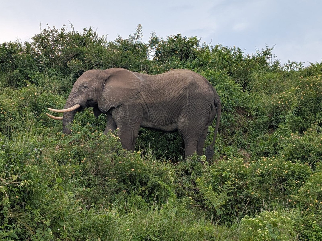 Katona Tours and Travel-吉佳利必去景点