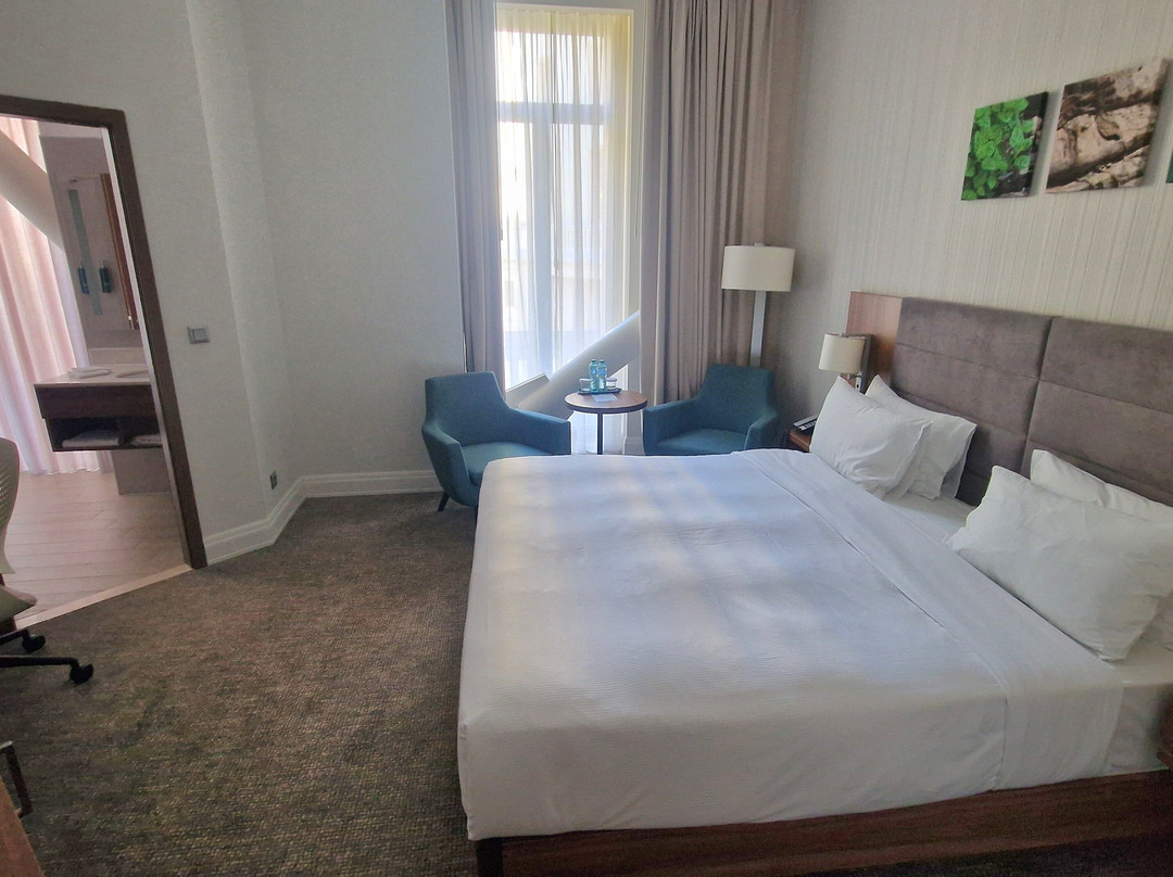 Hilton Garden Inn Bucharest Old Town主图