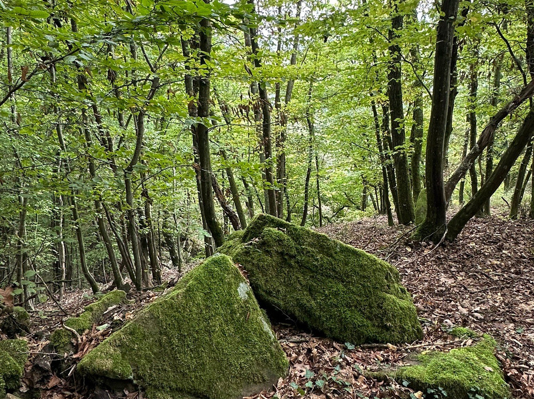 Magische Heimbach - Wanderung