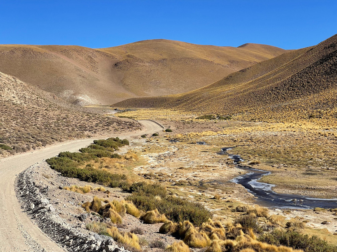 Poncho Tours-萨尔塔必去景点