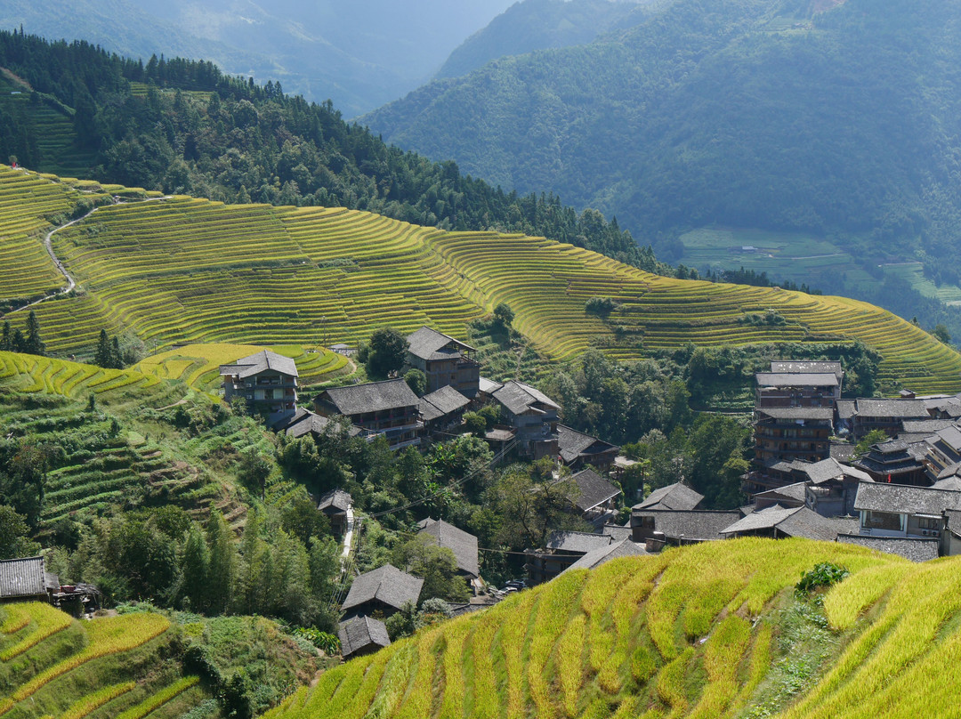 Longji Rice Terraces