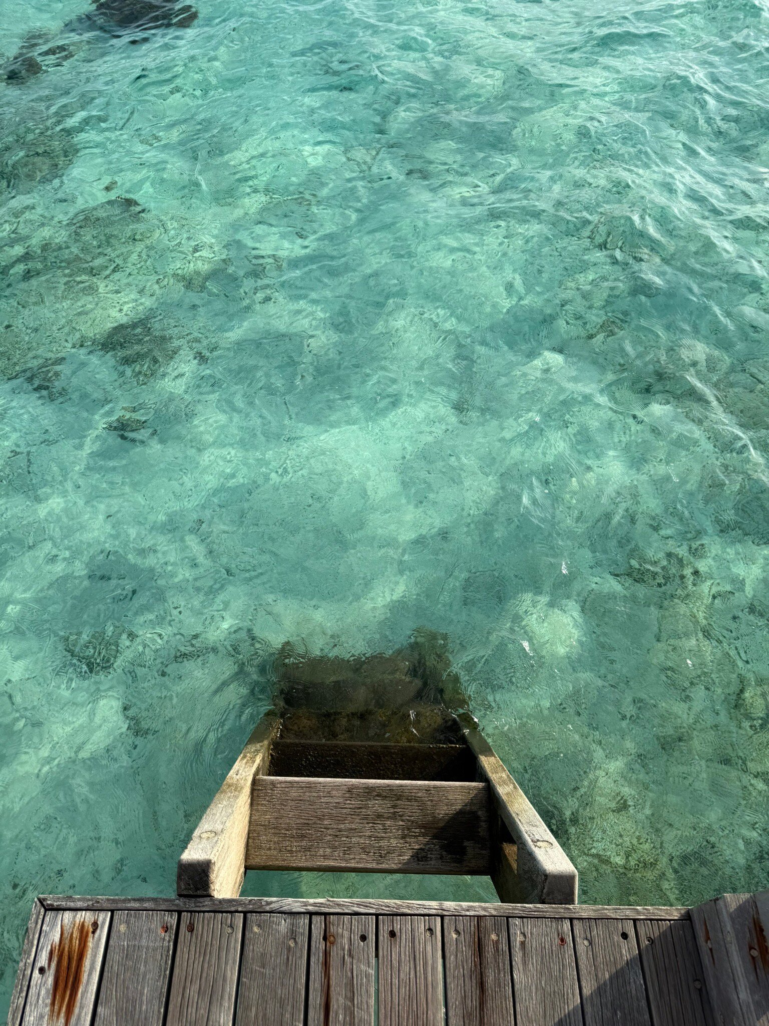 德瑞福特塞路维里加休闲酒店-官方