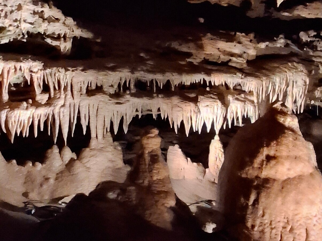 Inner Space Cavern-Georgetown必去景点